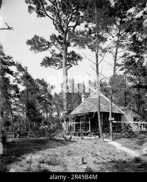 Chaco Chulee, ein Sommerhaus, Ormond, Florida, zwischen 1900 und 1906. Schild auf dem Baum: Chaco Chulee. Stockfoto