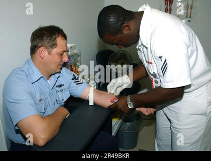 US Navy Hospital Sanitäter Seaman entnimmt Blut von Schiffsservicemann 1. Klasse an Bord der Naval Air Station, Jacksonville, FLA Stockfoto