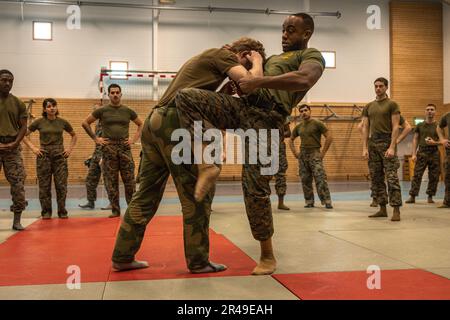 USA Marinekorps 2. LT. Kevaughn U. Burney (rechts), Kampfsportlehrer (MAIT) und Kommunikationsstrategie- und Operationsoffizier mit 2D Kampfeingenieurbataillon, 2D. Marine Division und norwegischer Armee Sgt. Buene, Level-1-Ausbilder, Weisen Sie Soldaten und Marines der norwegischen Armee während eines Martial-Arts-Programms (MCMAP) des Marinekorps in Setermoen, Norwegen, am 22. März 2023 ein. Kampfsportlehrer sind verantwortlich für Ausbildung, Mentoring und die Führung der Schüler durch einen anspruchsvollen Lehrplan, der moralische Entwicklung, Nahkampf, körperliche und geistige Fantasie umfasst Stockfoto