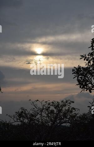 Ein wunderschöner Sonnenuntergang mit pastellfarbenen Wolken und Silhouetten von Bäumen und Büschen im Vordergrund Stockfoto