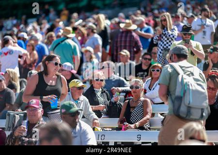 Indianapolis, USA. 26. Mai 2023. INDIANAPOLIS, INDIANA – 26. MAI: Am Carb Day Before the 2023 Indy 500 auf dem Indianapolis Motor Speedway am 26. Mai 2023 in Indianapolis, Indiana, sehen Fans auf der Tribüne zu. Kredit: Jeremy Hogan/Alamy Live News Stockfoto