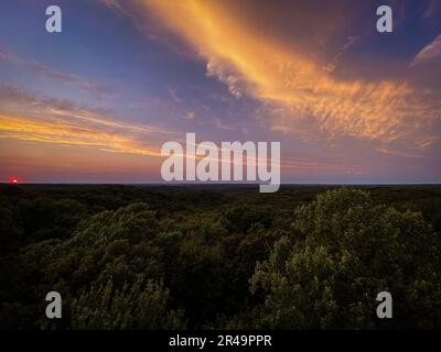 Eine wunderschöne Landschaft mit untergehender Sonne, die ihr warmes Licht über die Bäume und Felder wirft Stockfoto