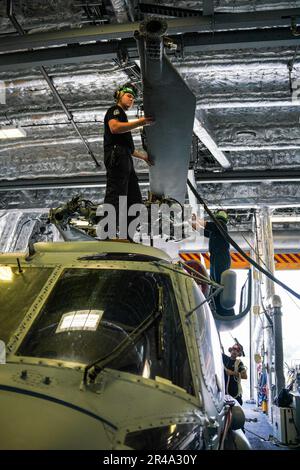 SINGAPUR (7. März 2023) Aviation Machinist's Mate 3. Class Brendon Johnson, Left, zugewiesen zum Helicopter Maritime Strike Squadron (HSM) 35, aus Queen Creek, Arizona, führt einen Hauptrotor eines MH-60R SeaHawk, der an HSM 35 befestigt ist, Ausstieg aus dem Hubschrauber in der Hangar Bay an Bord des Küstenschiffes USS Oakland (LCS 24) der Independence-Klasse in Singapur, 7. März 2023. Oakland, Teil der Destroyer-Staffel 7, ist im Rotationseinsatz, operiert im US-Flottengebiet 7., um die Interoperabilität mit Alliierten und Partnern zu verbessern und als einsatzbereite Einsatztruppe zur Unterstützung einer freien zu dienen Stockfoto