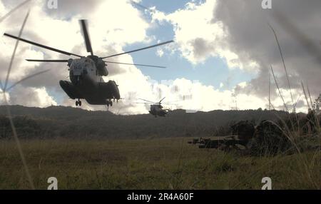 US Navy CH-53D Sea Hallion Helicopters, die dem Red Lions of Marine Heavy Helicopter Squadron Three Six Three (HMH-363) zugewiesen sind Stockfoto