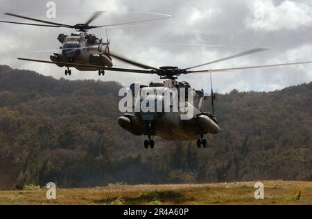 US Navy CH-53D Sea Hallion Helicopters, die dem Red Lions of Marine Heavy Helicopter Squadron Three Six Three (HMH-363) zugewiesen sind Stockfoto