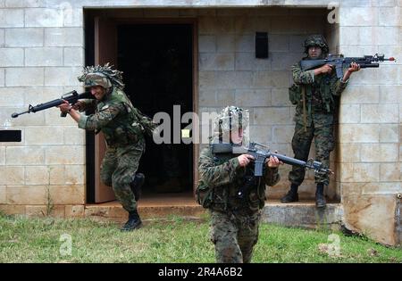 US Navy Marines, dem 3. Bataillon, dem 3. Marineregiment, India Company, zugewiesen, manövrieren schnell aus einem Gebäude, um eine bessere Position zu erlangen, von der aus man kämpfen kann Stockfoto