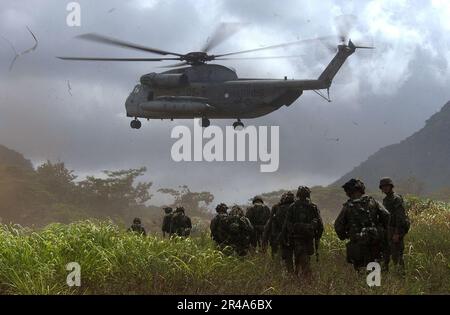 US Navy Marines, dem 3. Bataillon zugeteilt, nähern sich einer Landezone zur Extraktion, da ein CH-53D Sea Hallion Hubschrauber, angeschlossen an Marine Heavy Helicopter Squadron 363 (HMH-363), sich auf die Landung vorbereitet Stockfoto