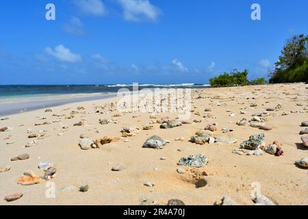 Eine ruhige Strandszene mit großen Felsen und Steinen an der Küste Stockfoto