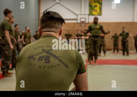 USA Marinekorps 2. LT. Kevaughn U. Burney (rechts), Kampfsportlehrer (MAIT) und Kommunikationsstrategie- und Operationsoffizier mit 2D Kampfeingenieurbataillon, 2D. Marine Division und norwegischer Armee Sgt. Buene, Level-1-Ausbilder, Weisen Sie Soldaten und Marines der norwegischen Armee während eines Martial-Arts-Programms (MCMAP) des Marinekorps in Setermoen, Norwegen, am 22. März 2023 ein. Kampfsportlehrer sind verantwortlich für Ausbildung, Mentoring und die Führung der Schüler durch einen anspruchsvollen Lehrplan, der moralische Entwicklung, Nahkampf, körperliche und geistige Fantasie umfasst Stockfoto