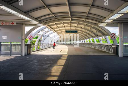 Die Brücke über dem Stadium Drive und dem Nicoll Highway im Singapore Sports Hub. Stockfoto