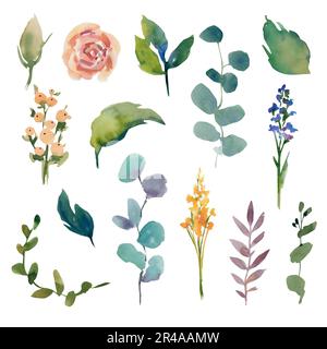 Ein Satz handgemachter Blumen auf einem isolierten Hintergrund. Rosen, Eukalyptus, Knospen, Blätter. Hochzeitsabbildung. Bannerdesign und -Layout Stockfoto