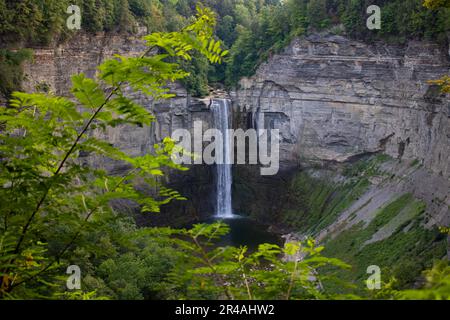 Ein lebhafter grüner Wald befindet sich neben einem majestätischen Wasserfall, der an der Seite eines majestätischen Berges stürzt Stockfoto