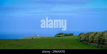 Der Leuchtturm Belle Tout von Beachy Head blickte an einem sonnigen Tag über Felder Stockfoto