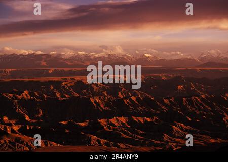 Lhasa. 25. Mai 2023. Dieses Foto wurde am 25. Mai 2023 aufgenommen und zeigt die Landschaft des Erdwaldes bei Sonnenuntergang in Zanda County, Südwestchina Autonome Region Tibet. Zanda ist berühmt für die einzigartige Landschaft des Erdwaldes, die durch geologische Bewegung und Bodenerosion entstanden ist. Diese „Wälder“ sehen gelblich aus, aber die Farbe variiert in verschiedenen Teilen. Kredit: Fei Maohua/Xinhua/Alamy Live News Stockfoto