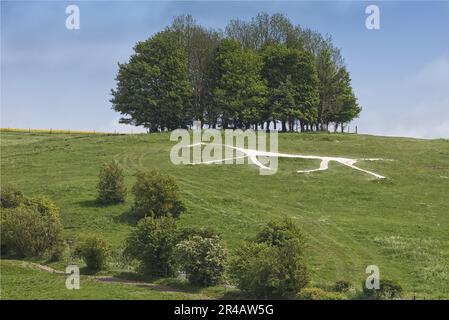 Hackpen Whitehorse, in die britischen Hügel in Wiltshire gemeißelt Stockfoto