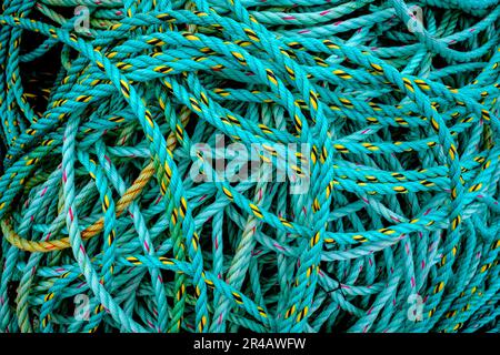 Angelseil im Hafen von Arinagour, Insel Coll, Schottland Stockfoto