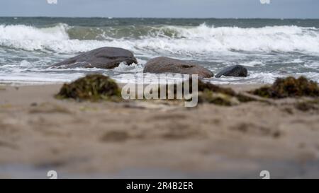 Eine malerische Landschaft eines Strandes mit großen Felsen, die über die Küste entlang des Randes eines ruhigen Wassers verstreut sind Stockfoto