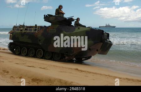 US Navy USA Marines, die dem Amphibien-Attentat-Bataillon 3. zugeteilt sind, fahren ihre Amphibien-Angriffsfahrzeuge den Strand runter. Stockfoto