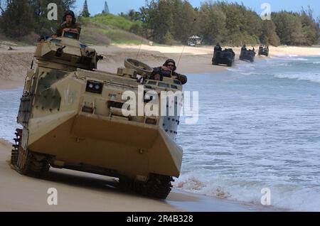 US Navy USA Marines, die dem Amphibien-Attentat-Bataillon 3. zugeteilt sind, fahren ihre Amphibien-Angriffsfahrzeuge den Strand runter. Stockfoto