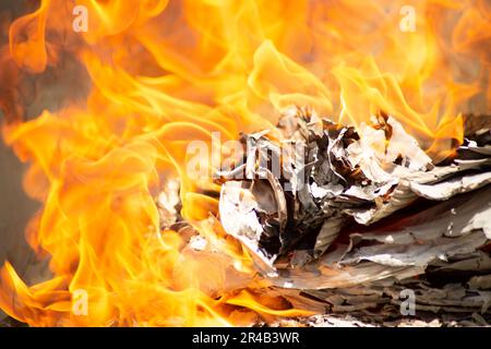 Ein brennendes Feuer, das in einem Waldgebiet brennt, mit Holzstämmen, die die Flammen verstärken und ein warmes Licht ausstrahlen Stockfoto