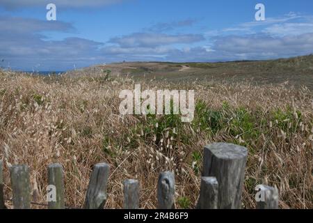Wild Coast, Cote Sauvage, Quiberon Halbinsel, Morbihan, Bretagne, Ile de Quiberon, Rocky Coast, Frankreich Stockfoto