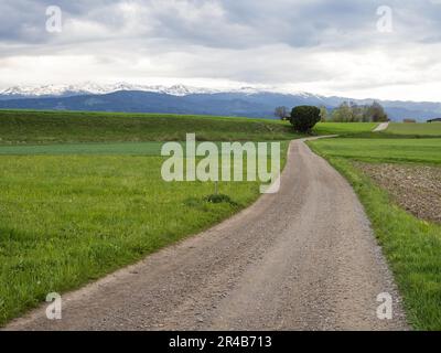 Schotterstraße führt durch ein Feld, Seethalalpen auf der Rückseite, nahe Grosslobming, Steiermark, Österreich Stockfoto