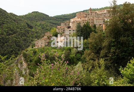 Town View Sassetta, Cornia Valley, Maremma, Provinz Livorno, Toskana, Italien Stockfoto