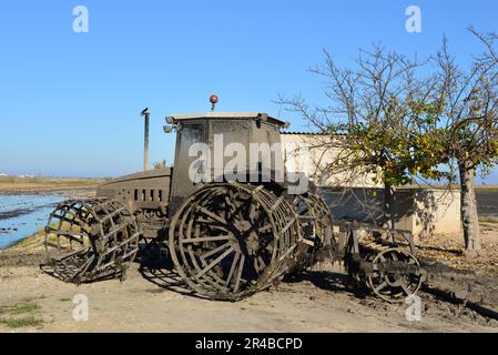 Ein alter, roter Landwirtschaftstraktor steht in einem Außenbereich mit einem großen Gewässer und einem alten Gebäude in der Ferne Stockfoto