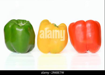 Grüne, gelbe und rote Paprika (Capsicum annuum) Stockfoto