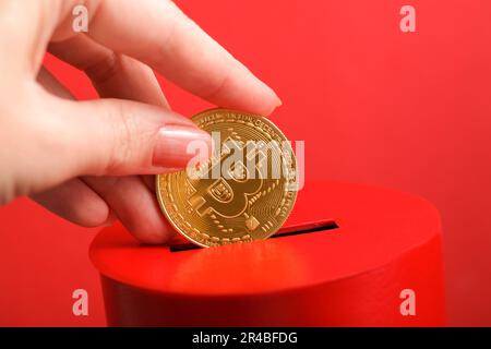 Die weibliche Hand steckt die goldene Münze mit dem Bitcoin-Symbol in den Schlitz der roten Spendenbox. Konzept der Spende, Lebensrettung oder Wohltätigkeit. Der Begriff der aufrichtigen Devotio Stockfoto