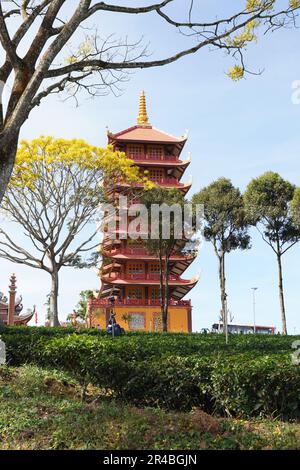 Gelbe phoenixs blühen brillant in der Fledermaus-Nha-Klosterpagode, Bao Loc City, Vietnam Stockfoto