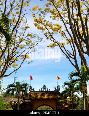 Gelbe phoenixs blühen brillant in der Fledermaus-Nha-Klosterpagode, Bao Loc City, Vietnam Stockfoto