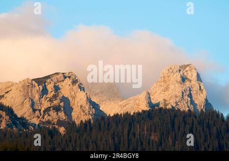 Tannheimer Berge, Blick von Graen, Tannheimer Tal, Tirol, Österreich Stockfoto