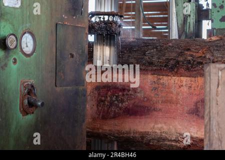 Bandsäge in Betrieb, um einen großen Baumstamm aus dem Regenwald des brasilianischen Amazonas zu schneiden. Stockfoto