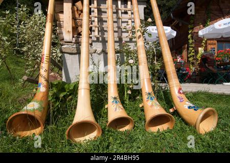 Alphorn Laubblasgeräte, Max's Huette bei Mittelberg, Kleinwalsertal, Vorarlberg, Österreich Stockfoto