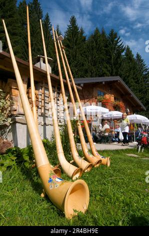 Alphorn Laubblasgeräte, Max's Huette bei Mittelberg, Kleinwalsertal, Vorarlberg, Österreich Stockfoto