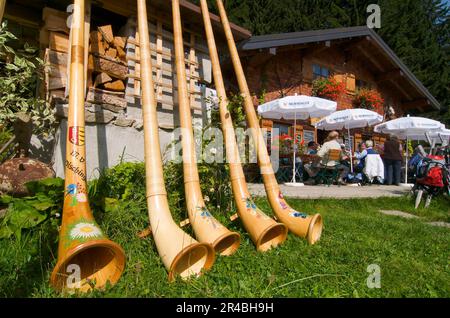 Alphorn Laubblasgeräte, Max's Huette bei Mittelberg, Kleinwalsertal, Vorarlberg, Österreich Stockfoto