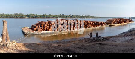 Fähre für den Transport von Stämmen aus einem Gebiet des brasilianischen Amazonaswaldes auf dem Fluss. Stockfoto