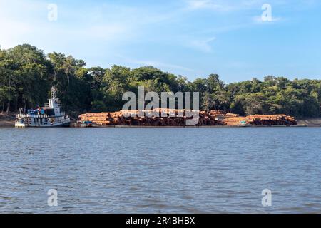 Fähre für den Transport von Stämmen aus einem Gebiet des brasilianischen Amazonaswaldes auf dem Fluss. Stockfoto