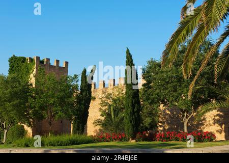 Überreste der alten Stadtmauer, Alcudia, Mallorca, Balearen, Spanien Stockfoto