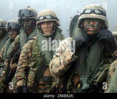 US Navy USA Marines von der 31. Marine Expeditionary Unit (MEU) Fox Company bereit, an Bord eines CH-46E Sea Knight Hubschraubers zu gehen. Stockfoto