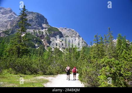 Italien, Südtirol, Prags-See, Dolomiten, Hiker Stockfoto