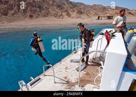 Taucher springt von der Tauchplattform, Tauchausrüstung, Sporttauchen, Sporttauchen, Gabr elBint, Dahab, Sinai-Halbinsel, Ägypten Stockfoto