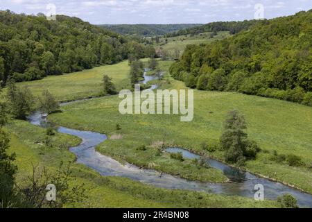 Eselsburger Tal mit dem Fluss Brenz, Brenztal, Schwäbische Alb, Baden-Württemberg, Deutschland Stockfoto