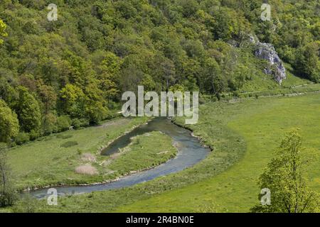 Eselsburger Tal mit dem Fluss Brenz, Brenztal, Schwäbische Alb, Baden-Württemberg, Deutschland Stockfoto