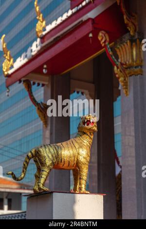 Tigerstatue im Wat Muang Kae, thailändischer buddhistischer Tempel in Bangkok, Thailand Stockfoto