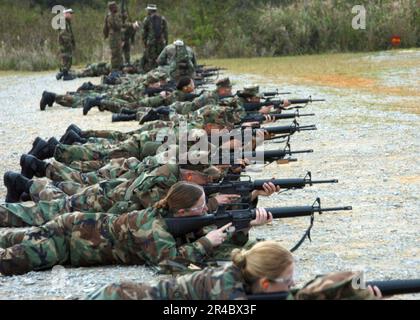 US Navy Seabees, die dem Mobile Naval Construction Battalion 4 (NMCB-4) zugeteilt sind, führen Waffenqualifikationen mit M-16-Gewehren am Marinestützpunkt Camp Hansen durch. Stockfoto