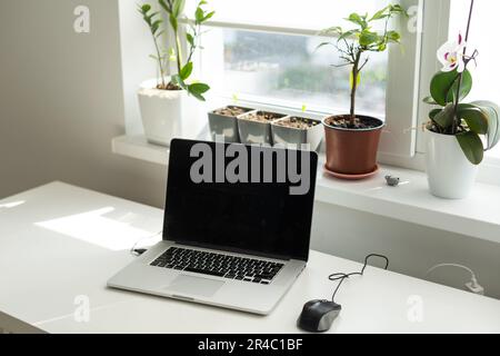 Gestaltung des Arbeitsplatzes mit Laptop und einer Tasse Kaffee im Home Office Stockfoto