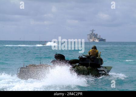 AMPHIBIENFLUGZEUGE DER US Navy (AAV), die der 31. Marine Expeditionary Unit (MEU) zugewiesen sind, nähern sich dem Bohrdeck des Amphibienladerschiffs USS Harpers Ferry (LSD 49). Stockfoto