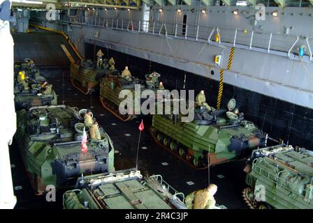 US Navy – Marines der Marine Expeditionary Unit (MEU) von 31. in ihren Amphibien-Angriffsfahrzeugen (AAV), die sich auf das Verlassen des Brunnendecks des Amphibien-Dock-Landungsschiffs USS Harpers Ferry vorbereiten (. Stockfoto